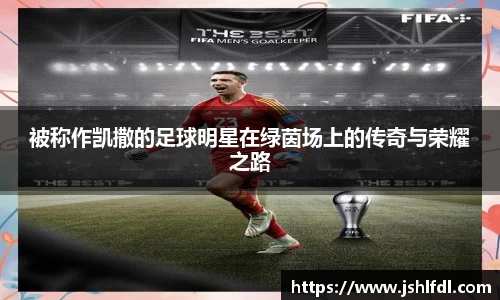 必一·体育(b-sports)